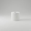 CARCAL 100% Recycled Toilet Roll